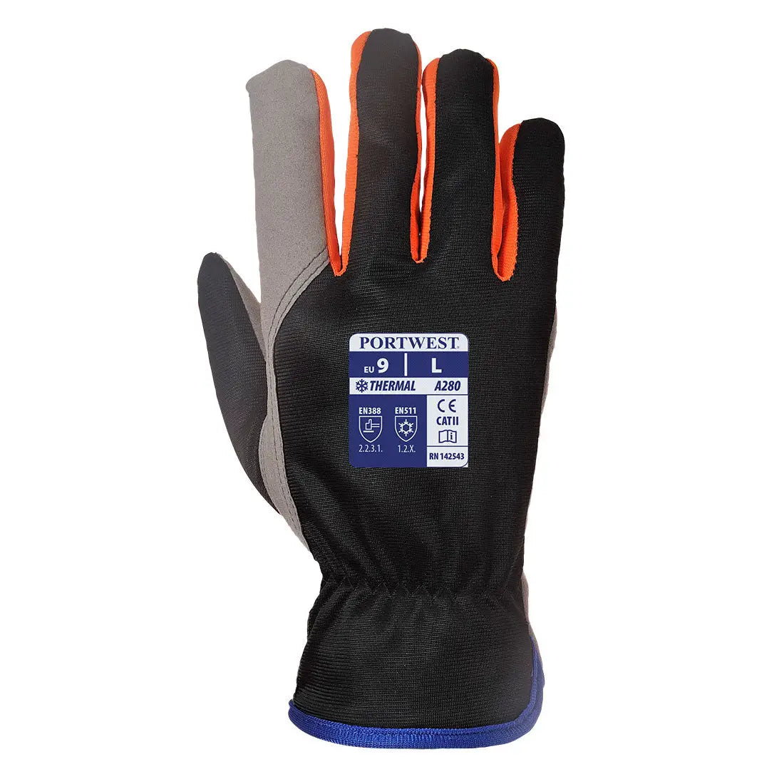 A280K1R_R.jpg