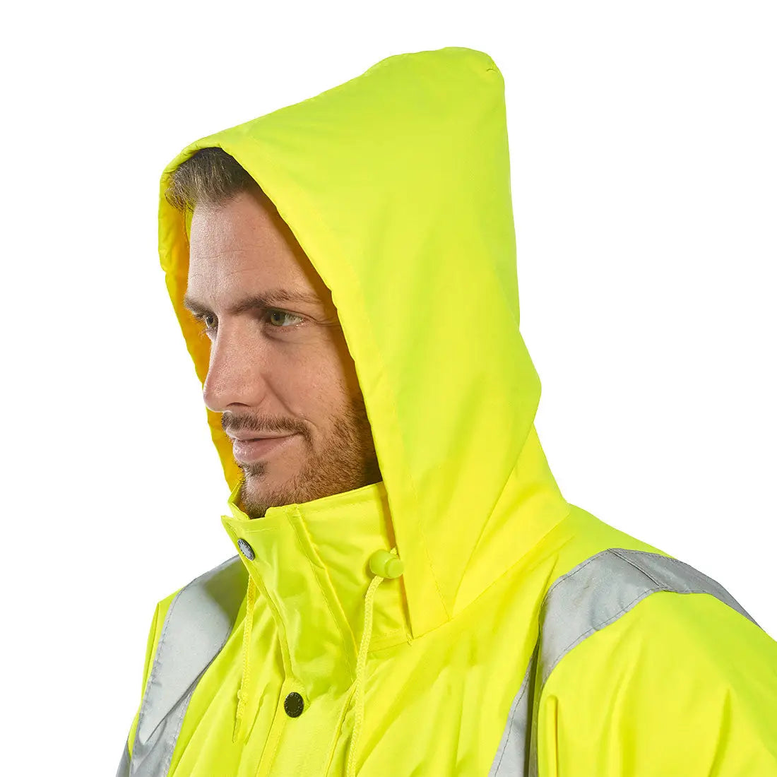 S460_LS_2.jpg