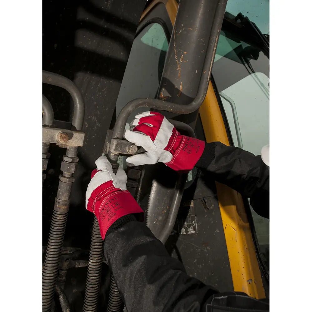 A220_LS_6.jpg