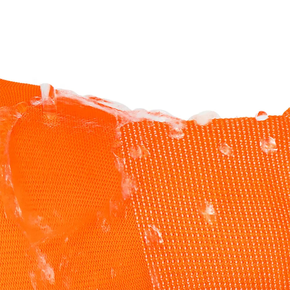 AP02_LS_3.jpg