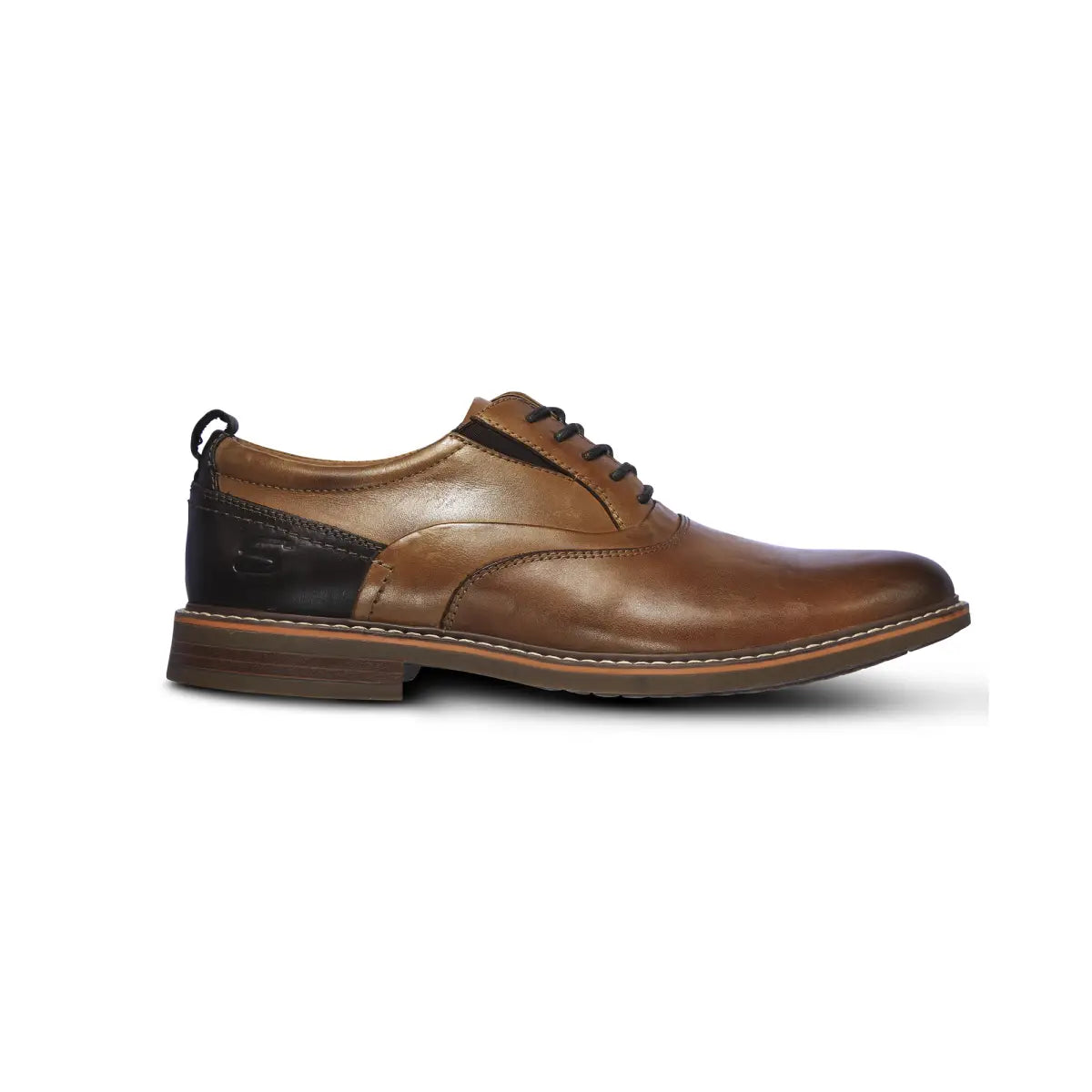 Bregman Shoe - Brown